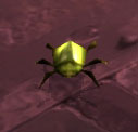 File:Gold-bug-scarab1.jpg