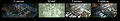 Thumbnail for version as of 16:06, 1 November 2010